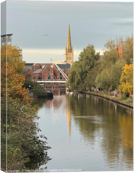 Norwich Cathedral Spire Reflection Canvas Print by Sally Lloyd