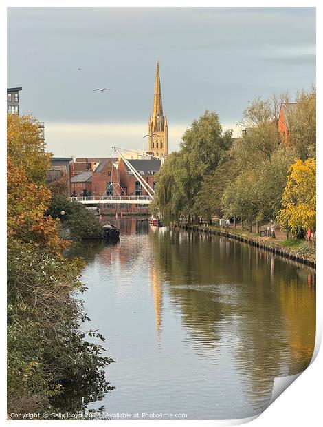 Norwich Cathedral Spire Reflection Print by Sally Lloyd