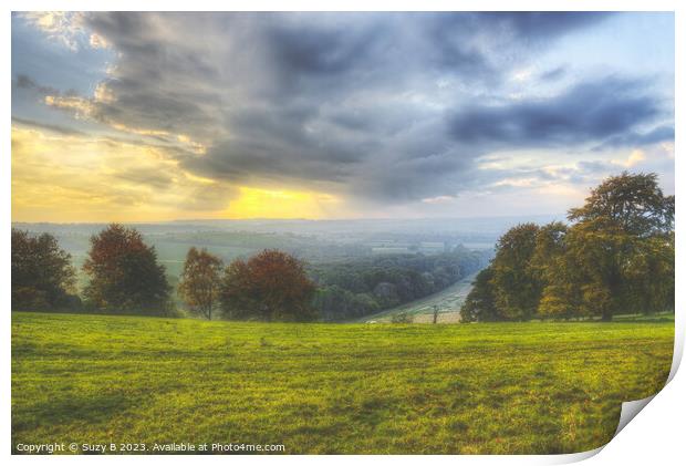 Old Winchester Hill Hampshire Print by Suzy B