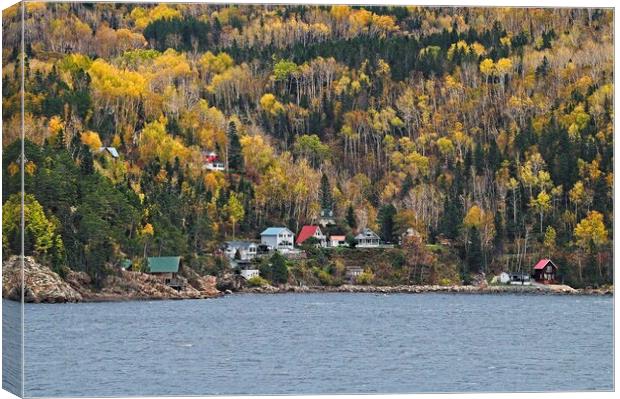 Autumn Trees in Saguenay Fjord, Quebec, Canada Canvas Print by Martyn Arnold