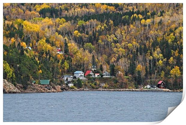 Autumn Trees in Saguenay Fjord, Quebec, Canada Print by Martyn Arnold