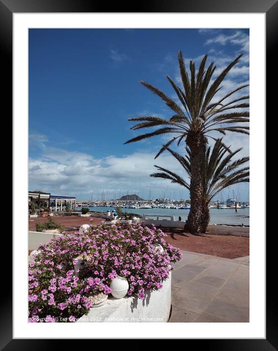 Corralejo harbour  Framed Mounted Print by Les Schofield