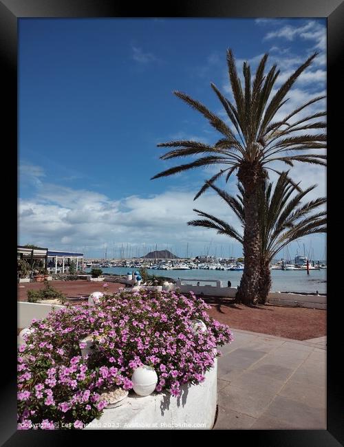 Corralejo harbour  Framed Print by Les Schofield