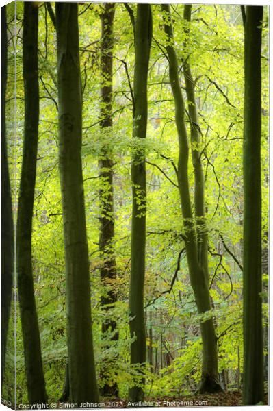 Woodland Architecture  Canvas Print by Simon Johnson