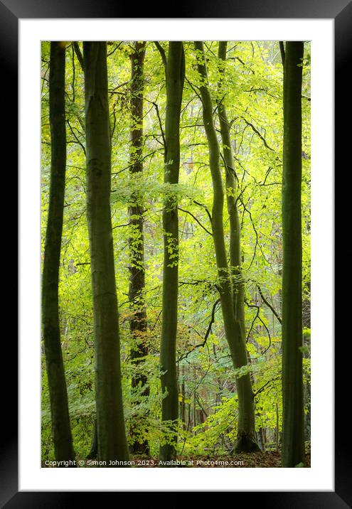 Woodland Architecture  Framed Mounted Print by Simon Johnson