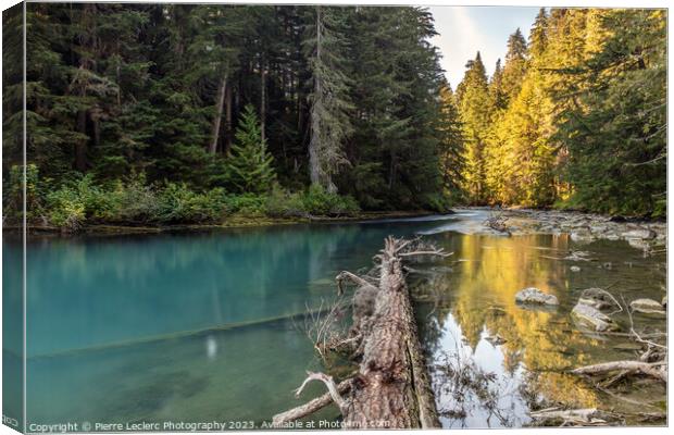 Serenity of Cheakamus River in Whistler, BC Canvas Print by Pierre Leclerc Photography