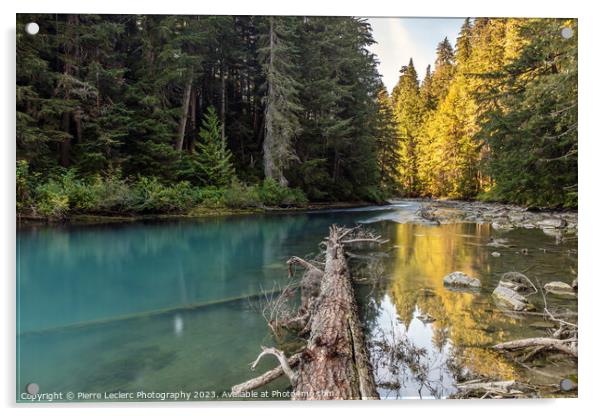 Serenity of Cheakamus River in Whistler, BC Acrylic by Pierre Leclerc Photography