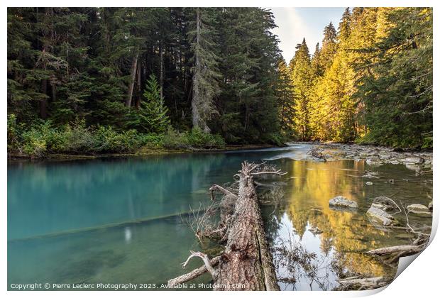 Serenity of Cheakamus River in Whistler, BC Print by Pierre Leclerc Photography