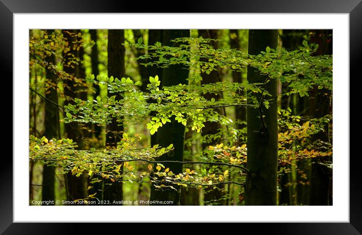Leaf Architecture  Framed Mounted Print by Simon Johnson