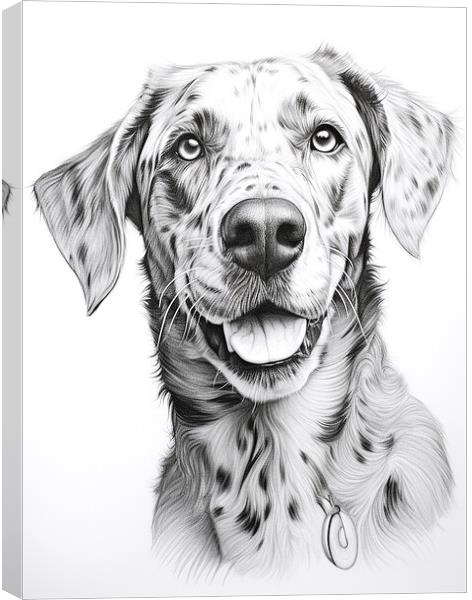 Catahoula Leopard Dog Pencil Drawing Canvas Print by K9 Art