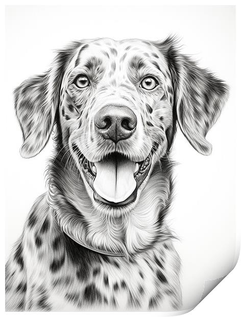Catahoula Leopard Dog Pencil Drawing Print by K9 Art