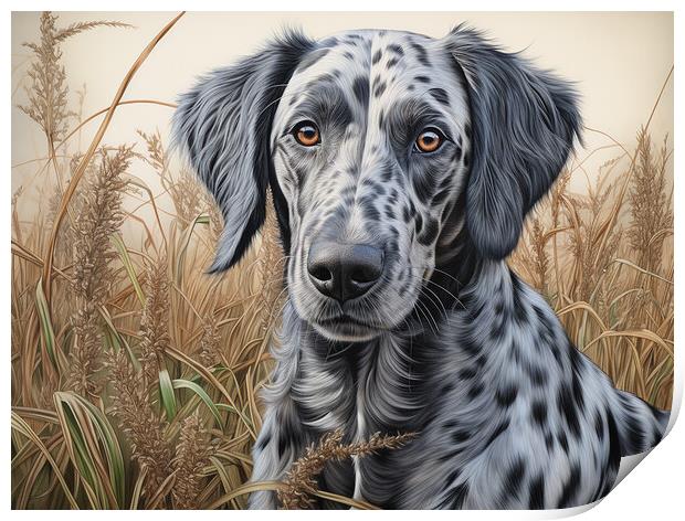 Catahoula Leopard Dog Pencil Drawing Print by K9 Art