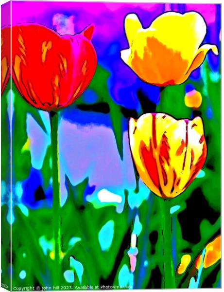 Painted Tulips Canvas Print by john hill