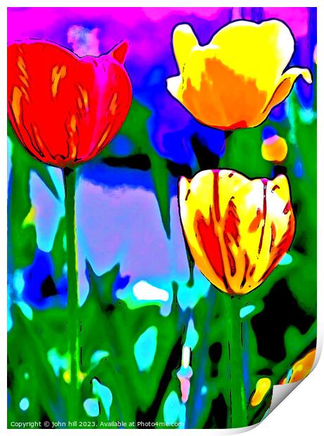 Painted Tulips Print by john hill