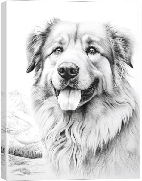 Caucasian Shepherd Dog Pencil Drawing Canvas Print by K9 Art