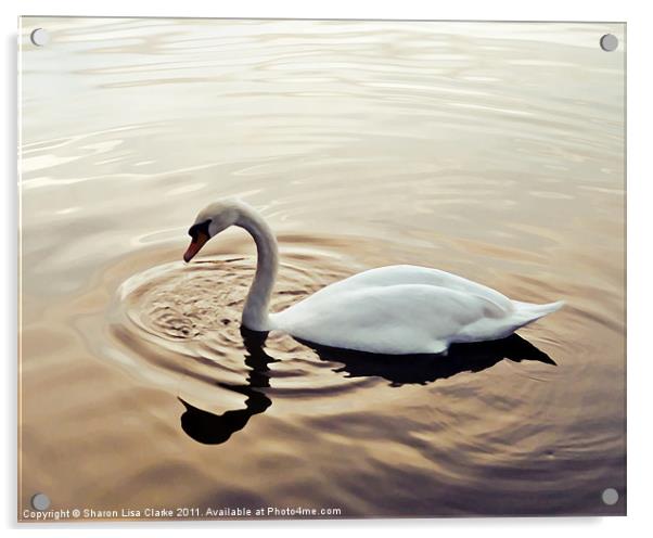 On Golden Pond Acrylic by Sharon Lisa Clarke