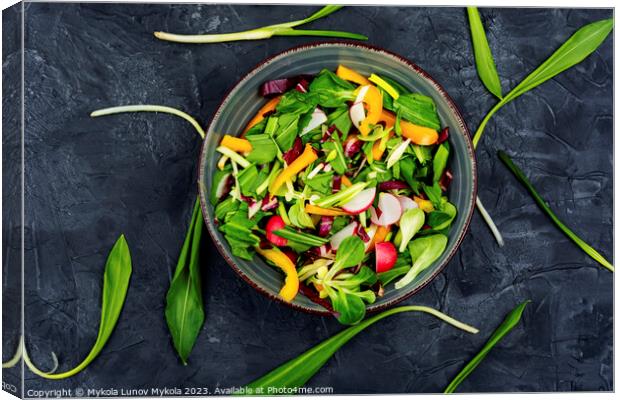 Green vegan salad Canvas Print by Mykola Lunov Mykola