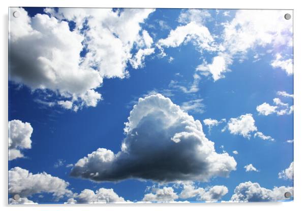 White clouds in blue sky. Blue sky background Acrylic by Virginija Vaidakaviciene