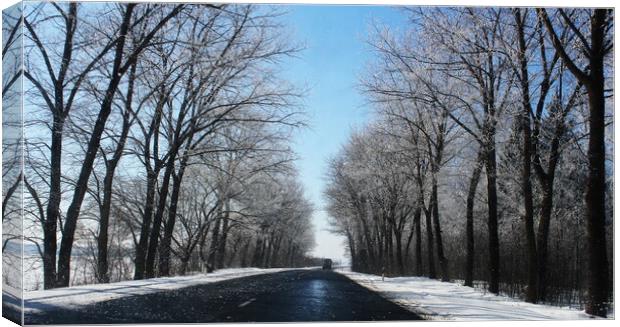 beautiful winter landscape with asphalt road,forest and blue sky Canvas Print by Virginija Vaidakaviciene