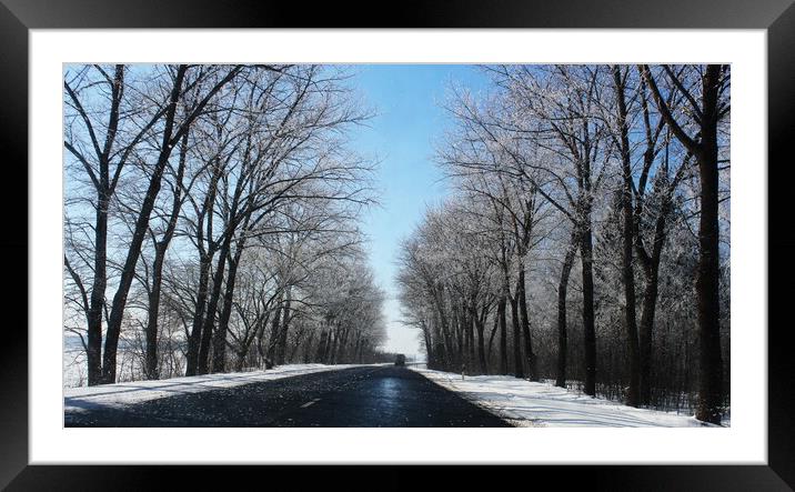 beautiful winter landscape with asphalt road,forest and blue sky Framed Mounted Print by Virginija Vaidakaviciene