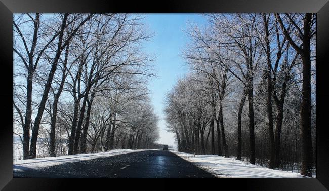 beautiful winter landscape with asphalt road,forest and blue sky Framed Print by Virginija Vaidakaviciene