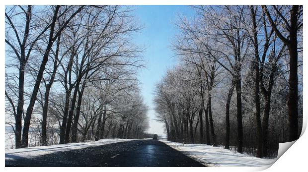 beautiful winter landscape with asphalt road,forest and blue sky Print by Virginija Vaidakaviciene