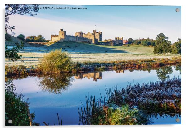 Alnwick Castle Acrylic by David Pringle