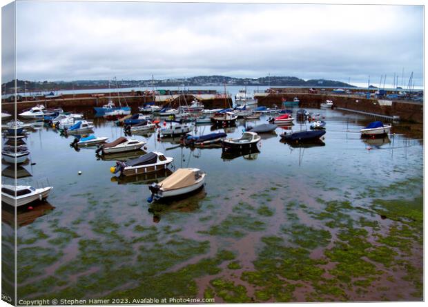 Incoming Tide Paignton Harbour Canvas Print by Stephen Hamer