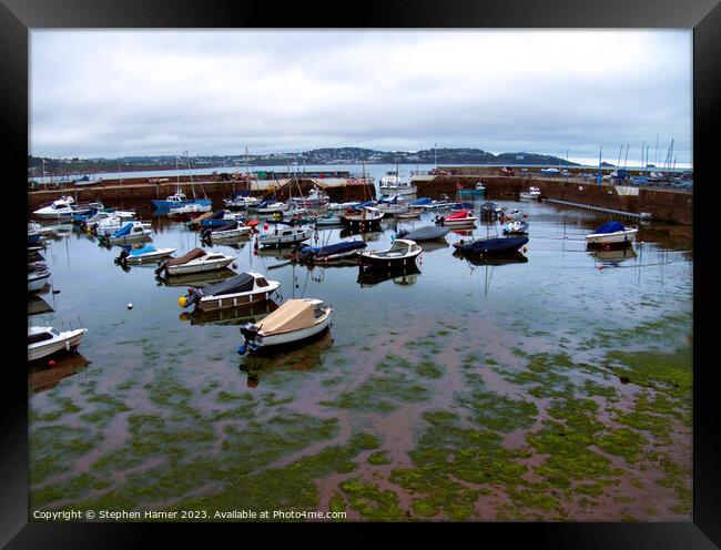 Incoming Tide Paignton Harbour Framed Print by Stephen Hamer