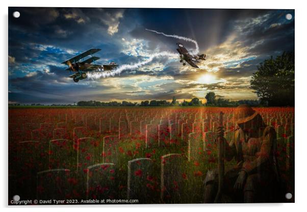 In Flanders Fields the Poppies Blow Acrylic by David Tyrer