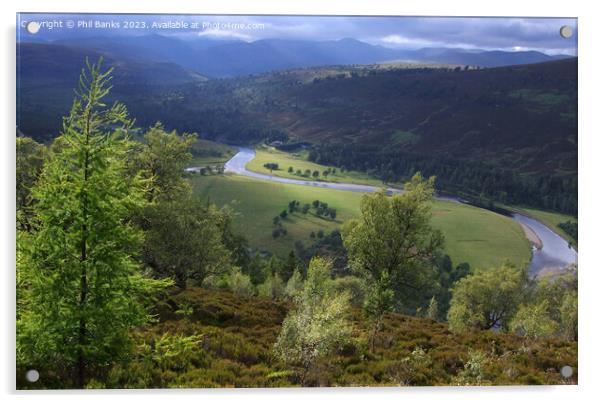 The River Dee on the Mar Estate in the Cairngorm Mountains Acrylic by Phil Banks