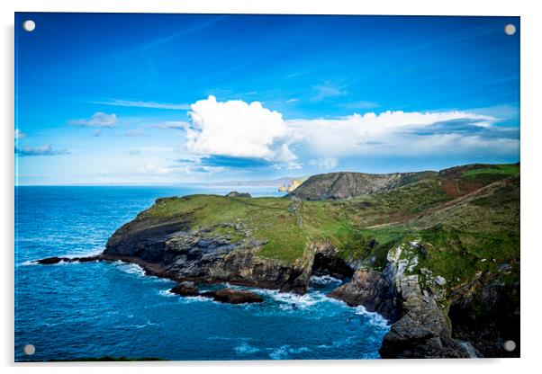 Barras Nose Tintagel Cornwall Acrylic by David Wilkins