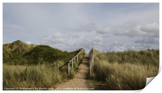 Beachy Walk on a Perfect Day Print by Photography by Sharon Long 