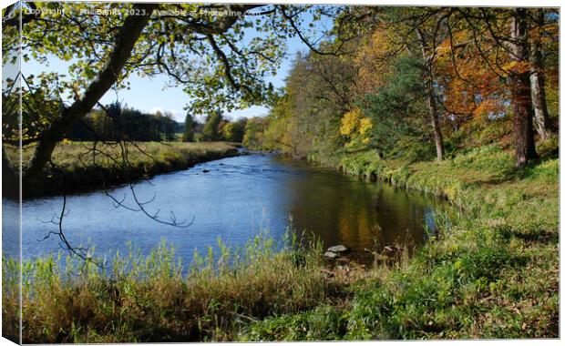 Autumn day by the River Deveron in Aberdeenshire Canvas Print by Phil Banks