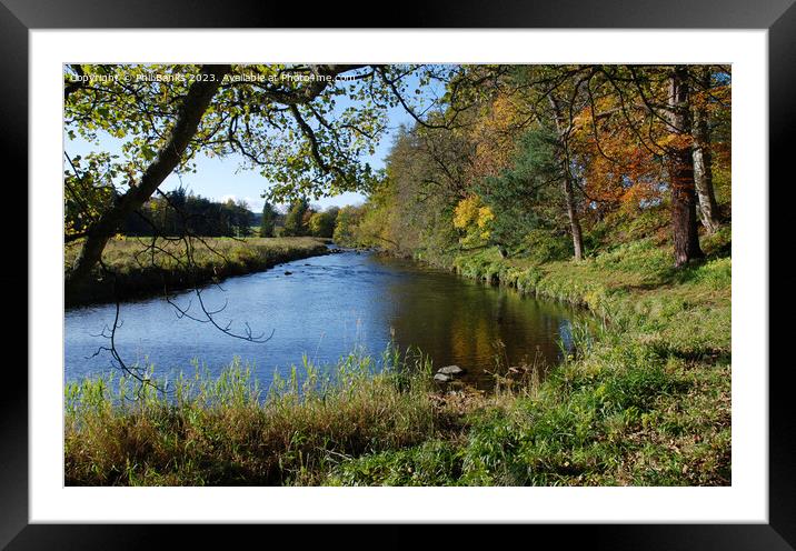Autumn day by the River Deveron in Aberdeenshire Framed Mounted Print by Phil Banks