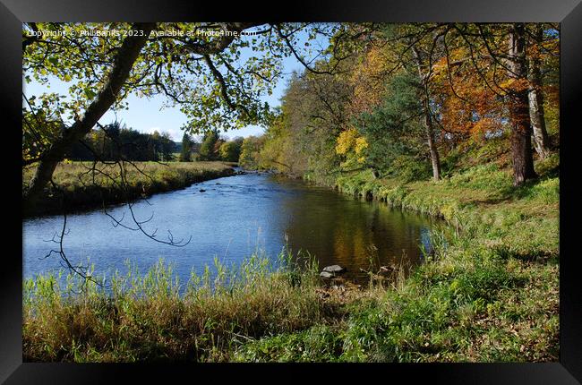 Autumn day by the River Deveron in Aberdeenshire Framed Print by Phil Banks