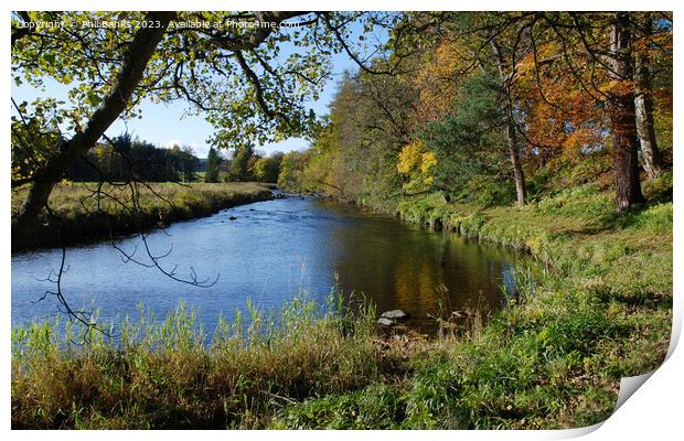 Autumn day by the River Deveron in Aberdeenshire Print by Phil Banks