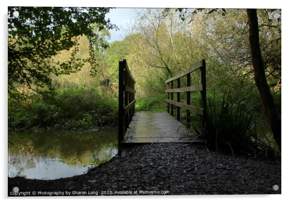 The Lady Bridge of Dibbinsdale Acrylic by Photography by Sharon Long 