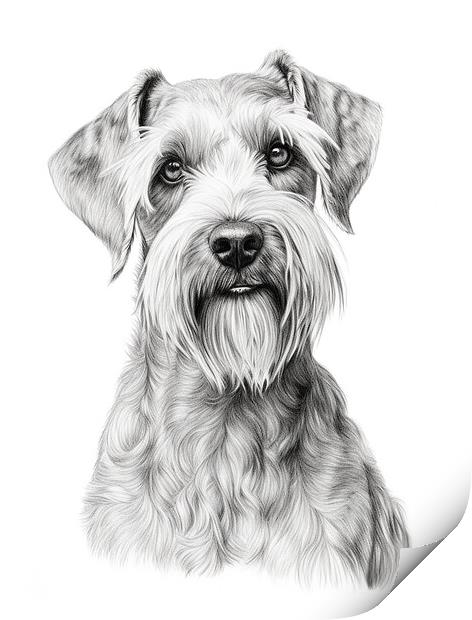 Cesky Terrier Pencil Drawing Print by K9 Art