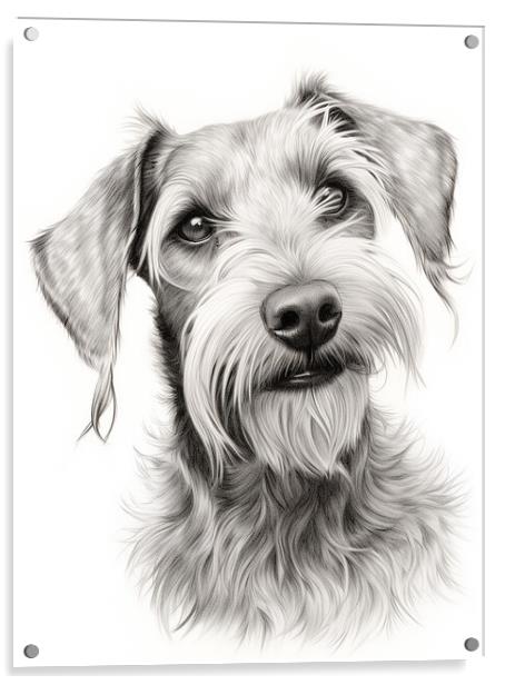Cesky Terrier Pencil Drawing Acrylic by K9 Art