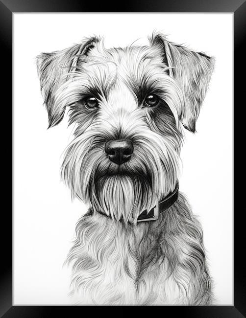 Cesky Terrier Pencil Drawing Framed Print by K9 Art