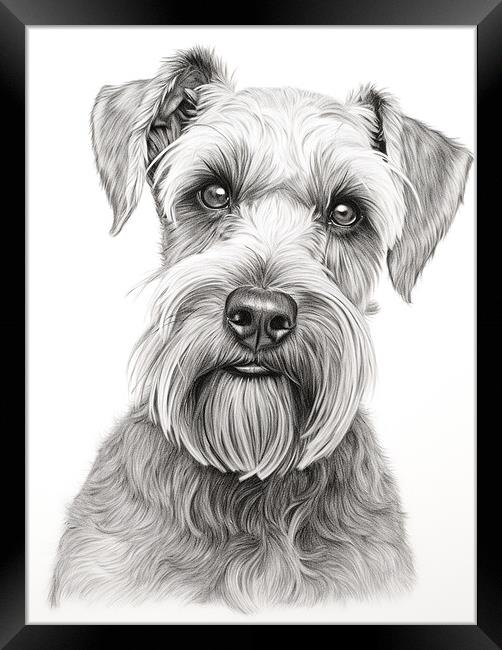 Cesky Terrier Pencil Drawing Framed Print by K9 Art