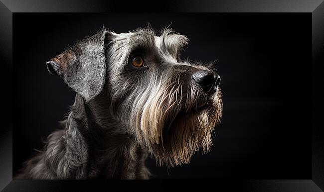 Cesky Terrier Framed Print by K9 Art