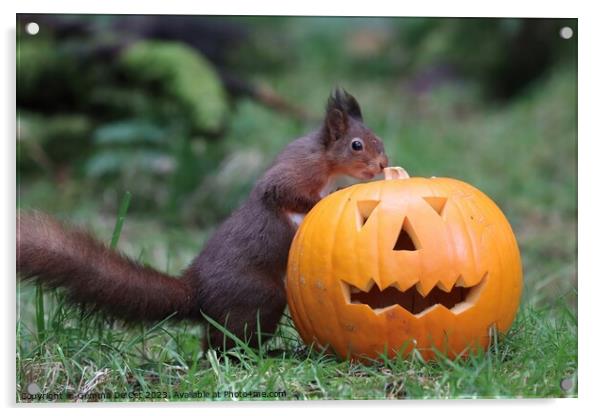 Red Squirrel with Halloween Pumpkin  Acrylic by Gemma De Cet