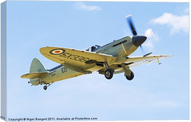 Supermarine Seafire MK XVII Canvas Print by Nigel Bangert