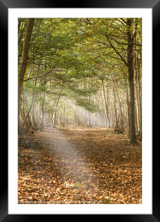 Autumn Woods Framed Mounted Print by Derek Griffin