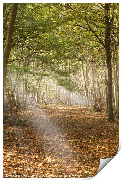 Autumn Woods Print by Derek Griffin