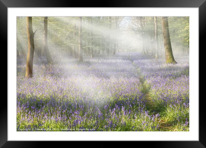 Dawn in the bluebell woods Framed Mounted Print by Derek Griffin