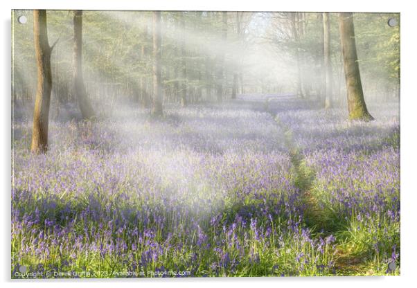 Dawn in the bluebell woods Acrylic by Derek Griffin