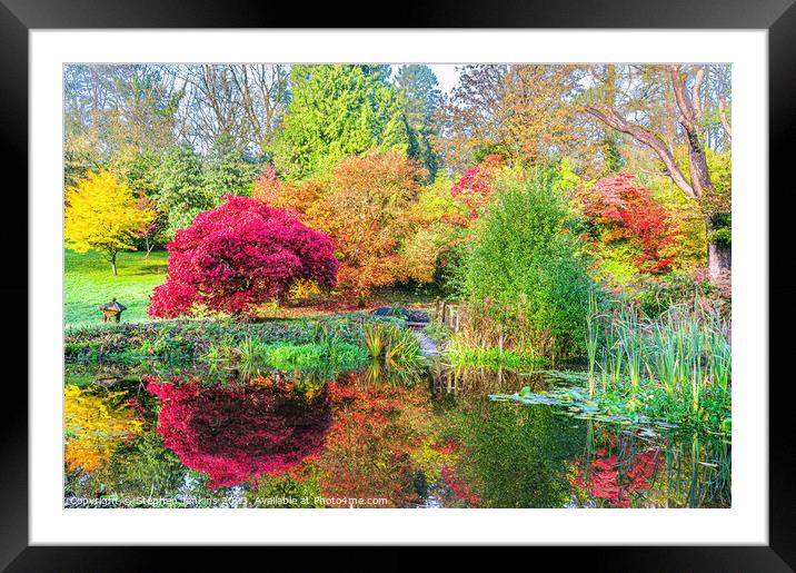 Bryngarw Park in Wales Framed Mounted Print by Stephen Jenkins